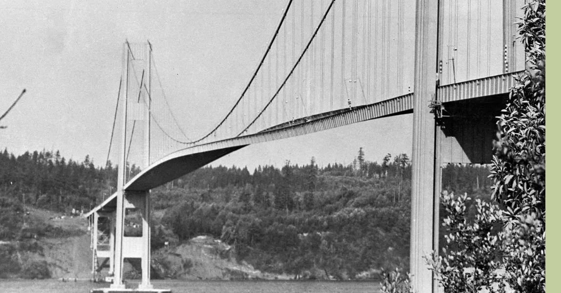The Golden Gate Bridge, Dr. Hirschi's analogy for bones and muscles